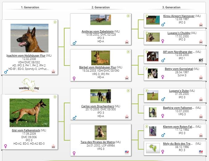 James vom Falkenstock